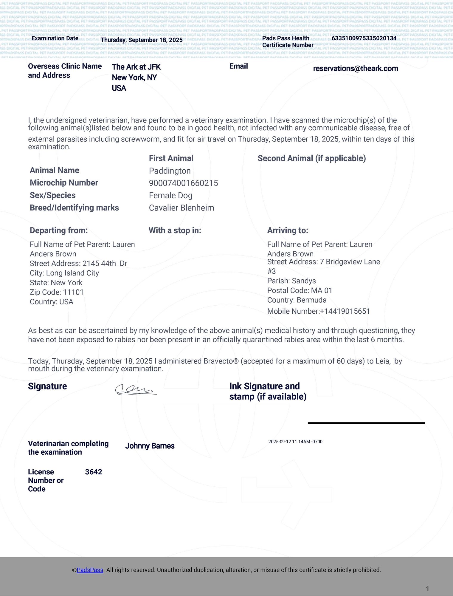 Paddington_HealthCertificate_Sample