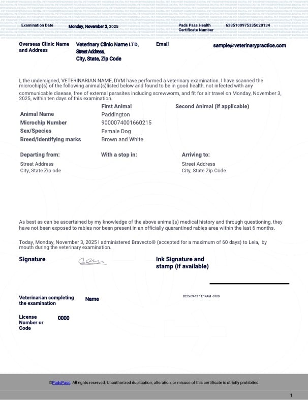 Paddington_Test_Health_Certificate copy