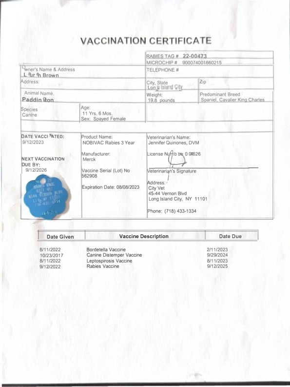 Paddington_Vaccination copy