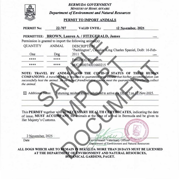 22-707 ANDERS BROWN, Laura - Paddington copy-1